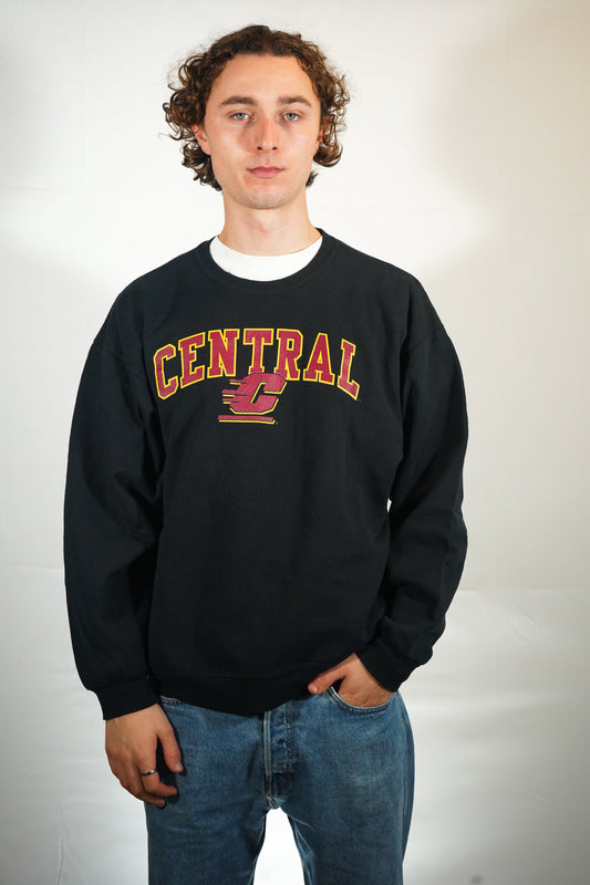 Vintage Central C sweater (L)