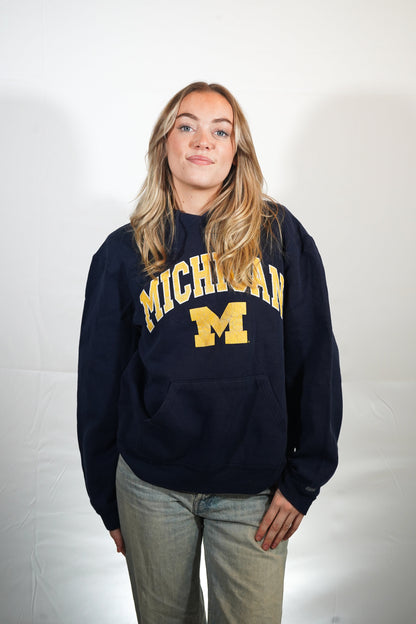 Vintage Michigan sweater (S)