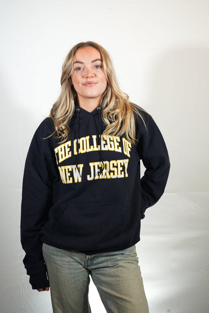 Vintage The College of New Jersey hoodie (M)