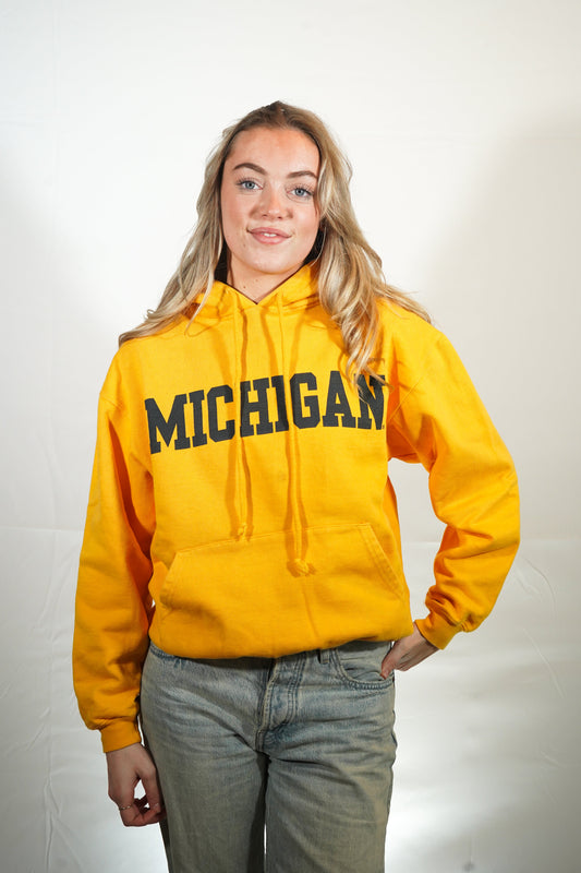 Vintage Michigan hoodie (XS)