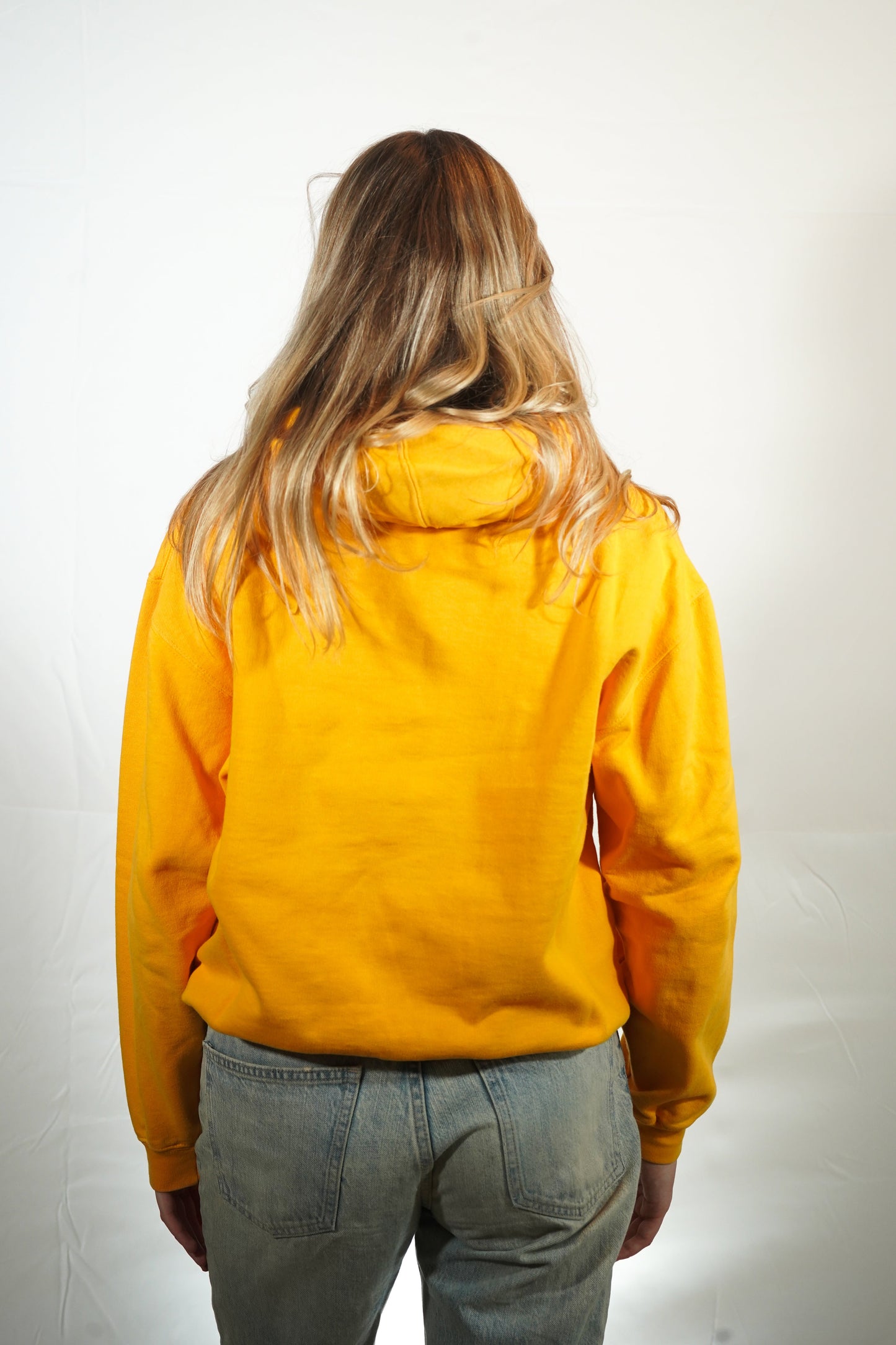 Vintage Michigan hoodie (XS)