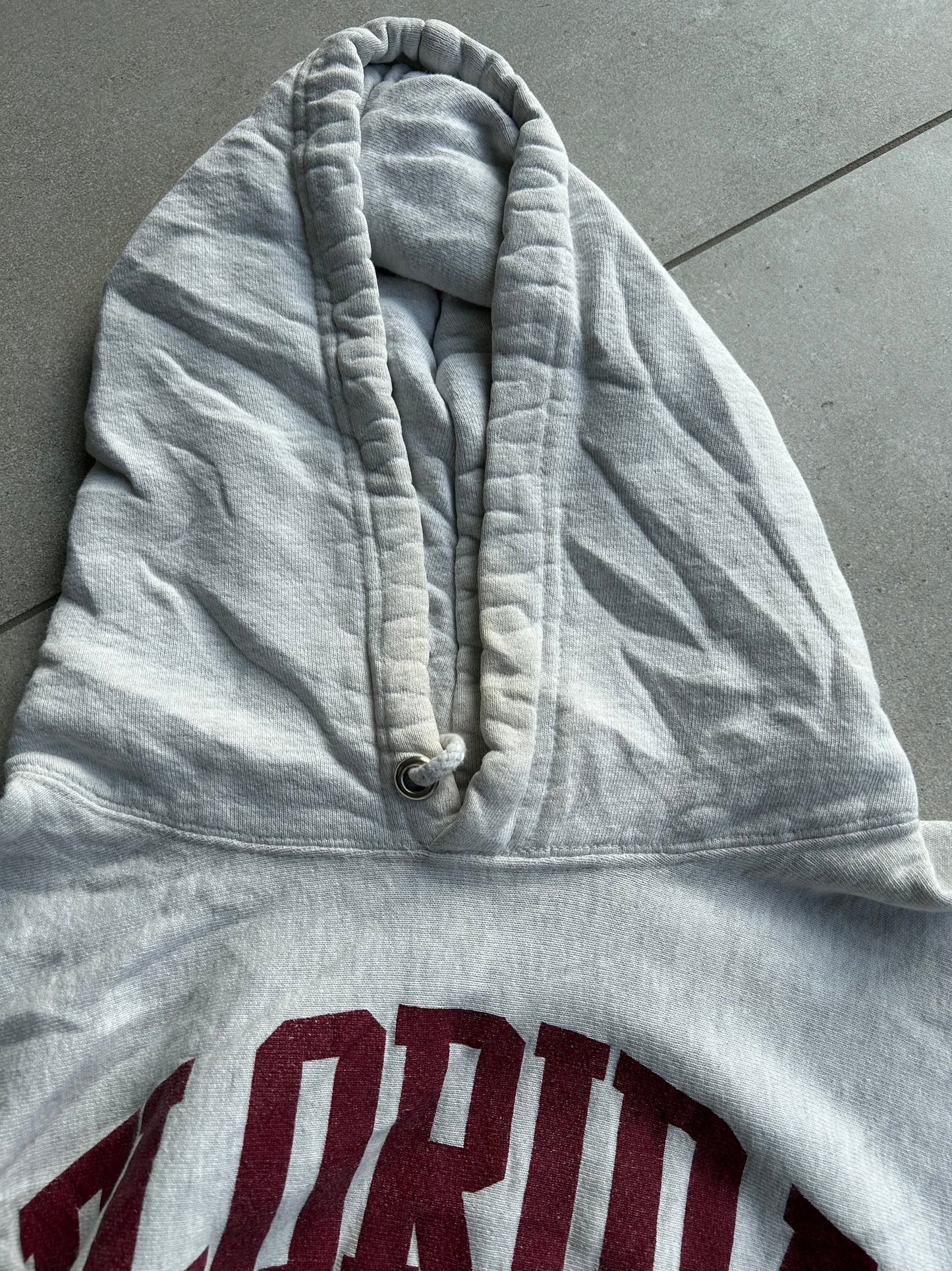 College hoodie Florida State